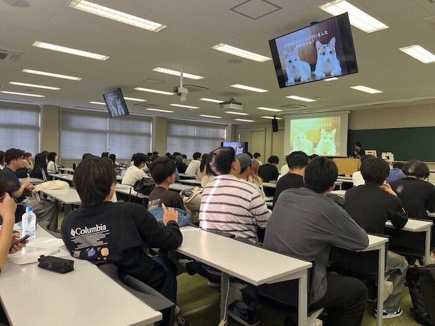 写真提供／猫から目線。