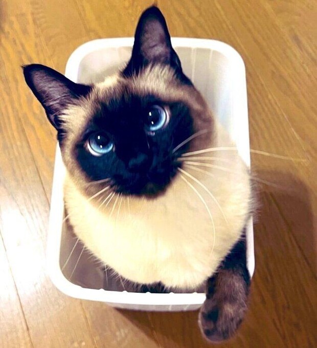 6才になった現在のなみちゃん