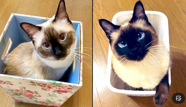 なみちゃんの成長ビフォーアフター