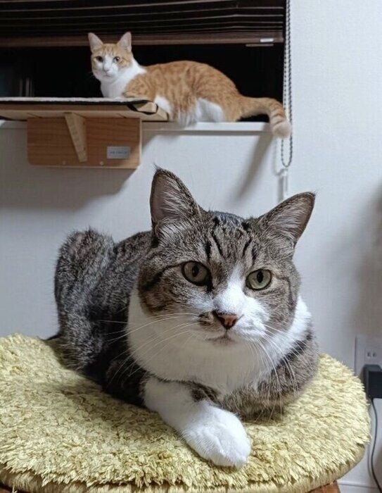 チョロすけくんと付かず離れずのツーショット