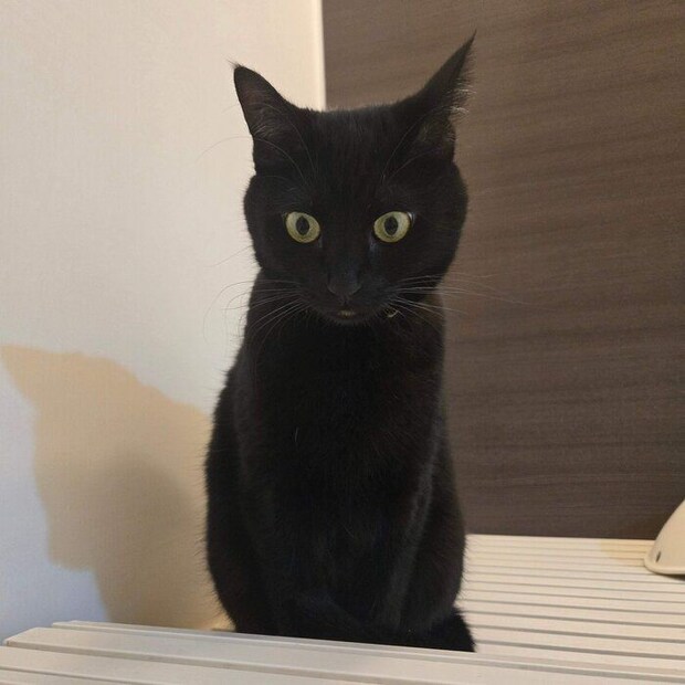 お風呂に乱入したのあるちゃん。