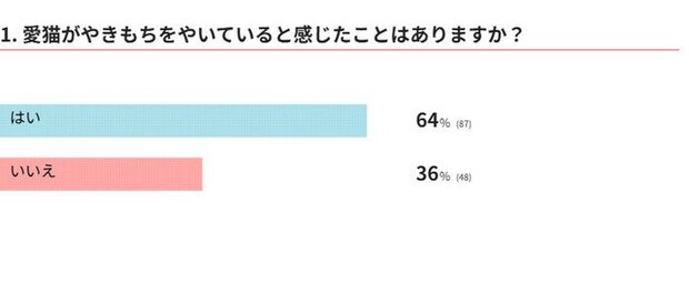 愛猫がやきもちをやいていると感じたことはありますか？