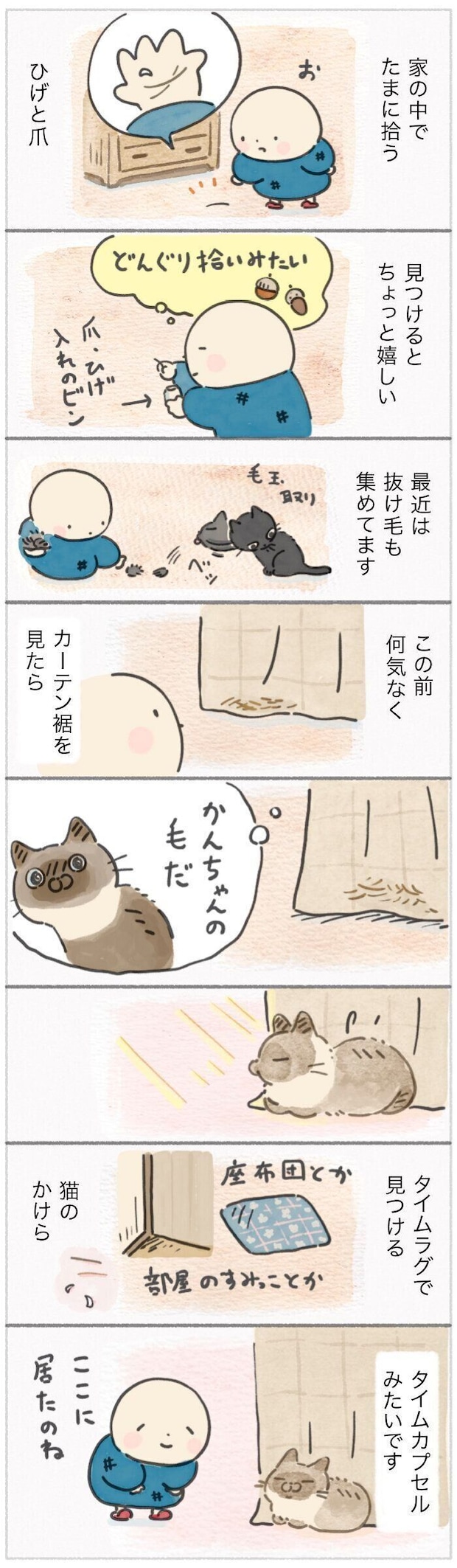 「ねこ連れ草」351話め