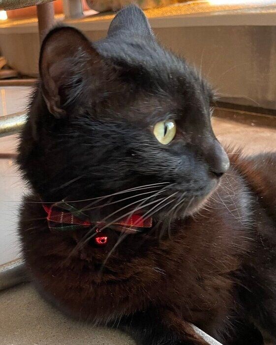 どこかを見つめる水無月くん