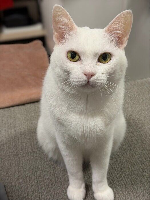 カメラ目線で見つめるぐうちゃん