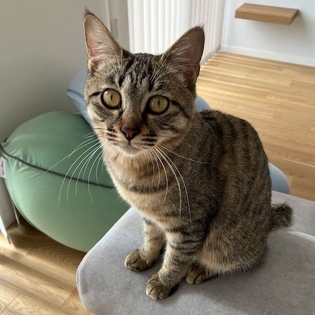 成長中のてんちゃん