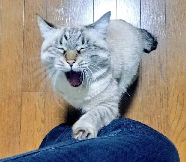 可愛い表情をするつむぎちゃん