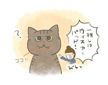 かわいいのにデンジャラス！ぷにぷにω“ウィスカーパッド”の尊さ【連載】交通事故にあった猫を拾いました#245