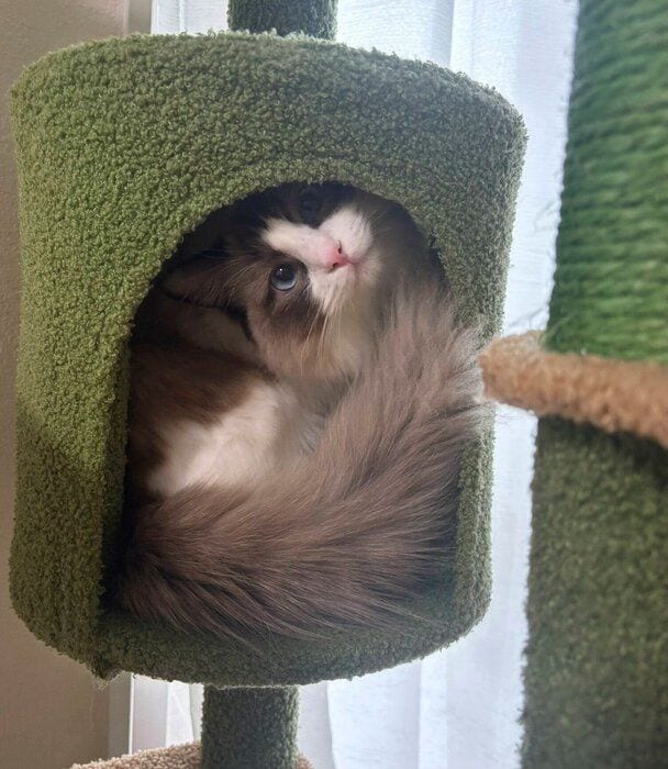 1才になったにこちゃん