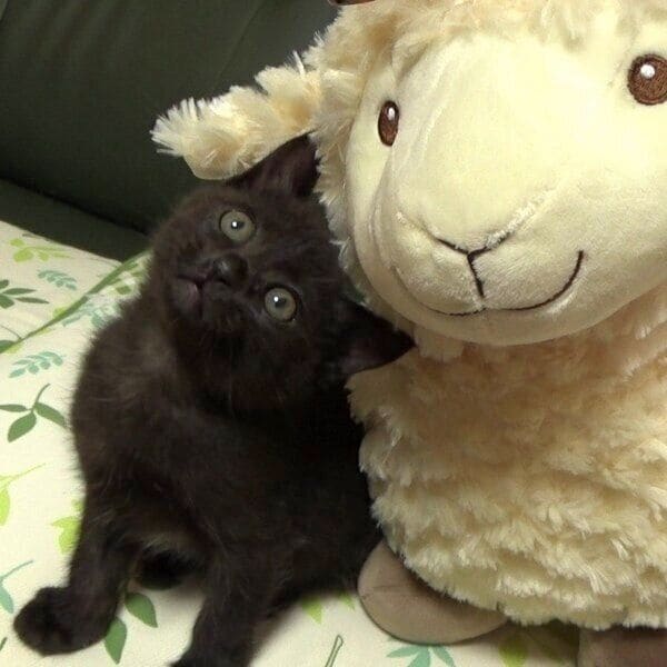 ぬいぐるみと2ショットのロコくん