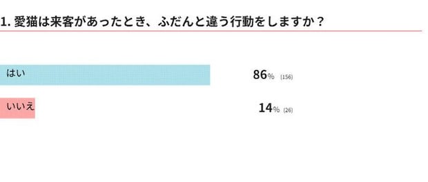 愛猫は来客時にふだんと違う行動をしますか？
