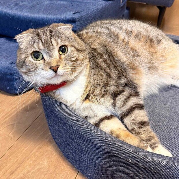 10才を迎えた当日のりっちゃん。