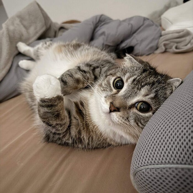 現在のりっちゃん（撮影時9才）。