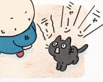 褒めたら学習した！「トイレ完了」で呼びに来る愛猫【連載】ねこ連れ草 352話め