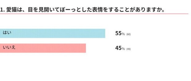  愛猫は、目を見開いてぼーっとした表情をすることがありますか？