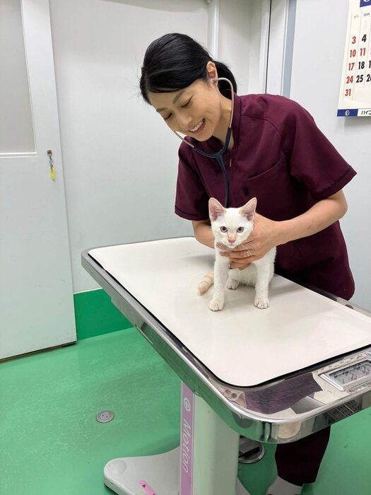 写真提供／新潟市動物愛護センター