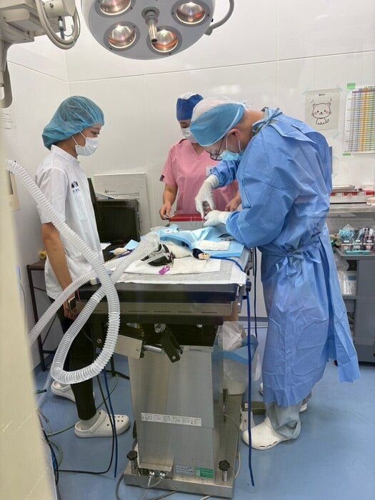 写真提供／新潟市動物愛護センター