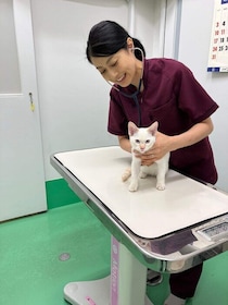 人と人が力を合わせ、 猫のためにできること――新潟市動物愛護センターの取り組み