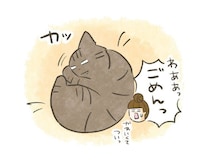 寝顔も半目も鋭い目も全部尊い！猫の寝顔“寸止めチラ見せ”【連載】交通事故にあった猫を拾いました#246