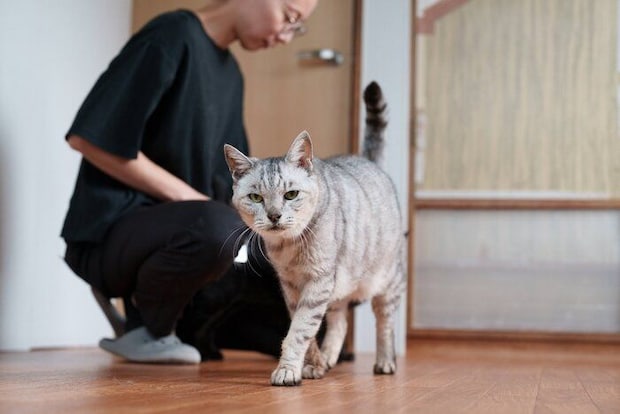 写真提供/ファミーユ