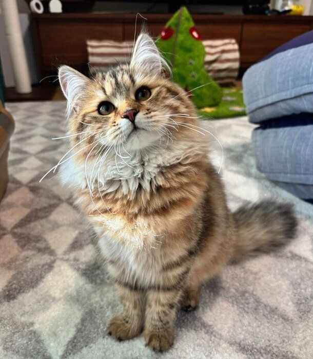 見つめるリーンちゃん