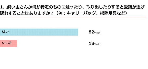 取り出すと愛猫が逃げ出すものはある？