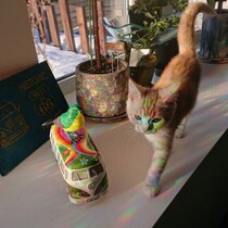 猫のスゴイ能力！　足元を見ずに障害物を避けて歩けるのはなぜ？