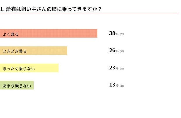 愛猫は飼い主さんの膝に乗ってきますか？