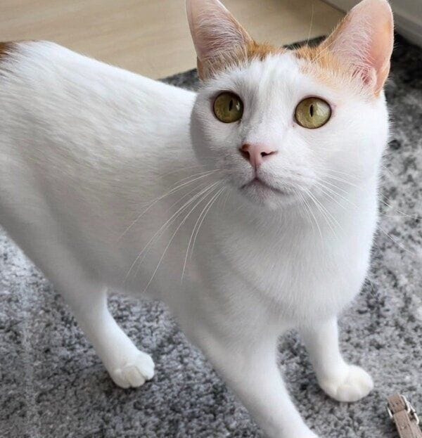 “イケメン”すぎる菅田くん