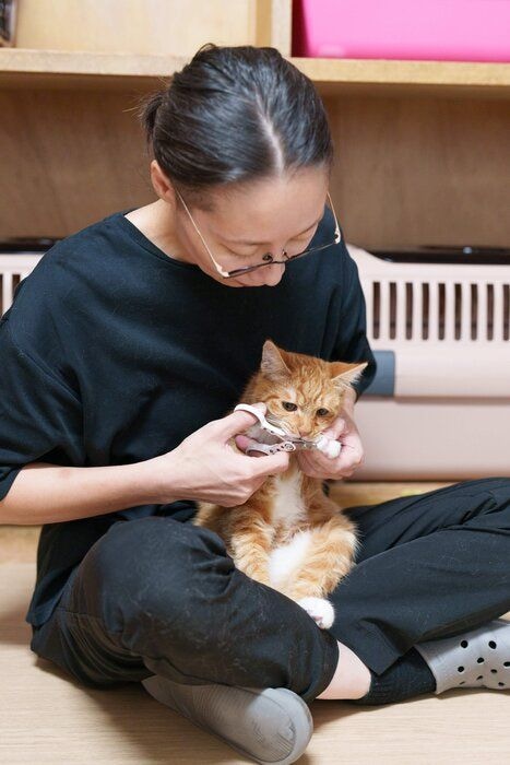 写真提供／ファミーユ