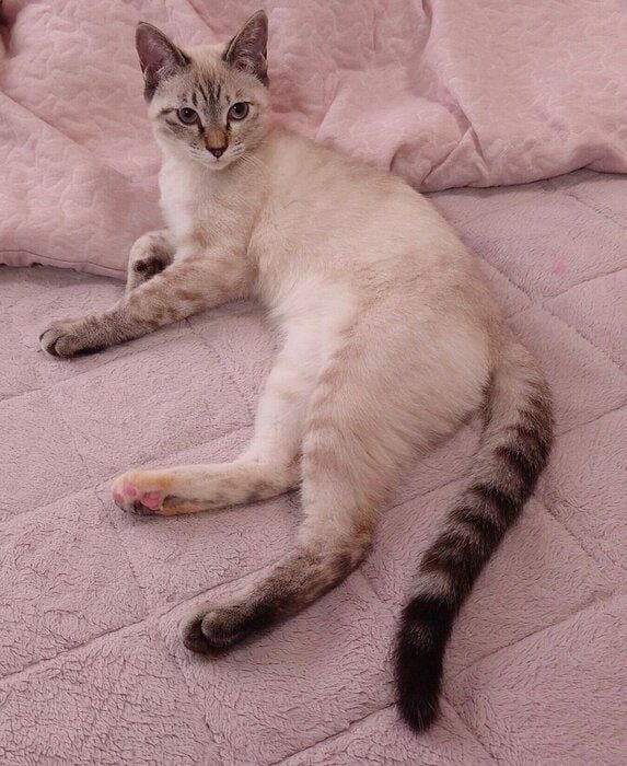 生後4カ月になったルナちゃん