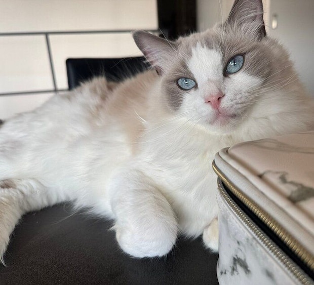 2才の誕生日当日のニコくん。