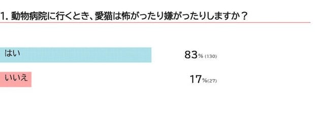 愛猫は動物病院を嫌がる？