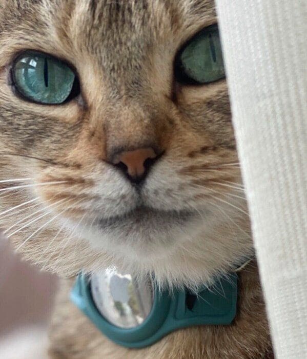 別の日に撮影されたもの この日も瞳がキレイ