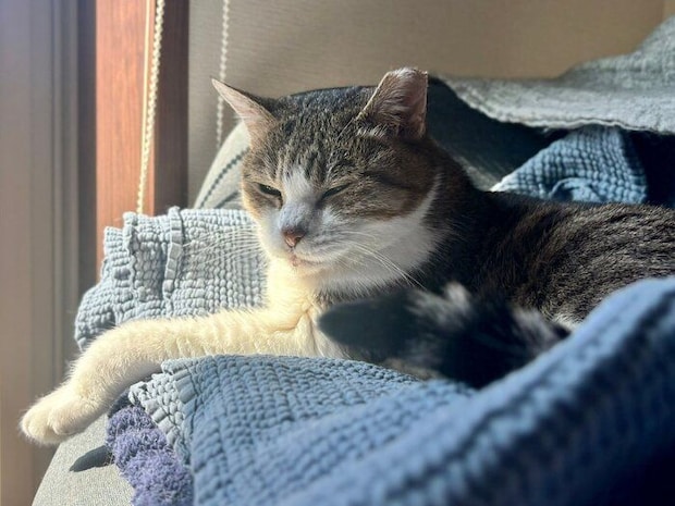 ひなたで目を細めるぽぬちゃん