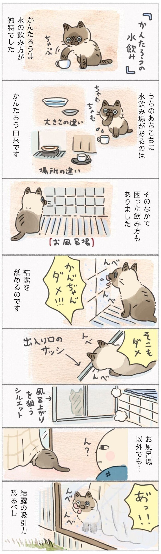 「ねこ連れ草」353話め