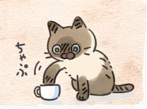 水皿を増やしても勝てない…最難関は“壁のペロペロ”だった件【連載】ねこ連れ草 353話め