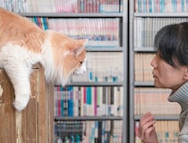 定期的な体の“観察”がカギ！　週イチ＆月イチで行う猫の健康チェック