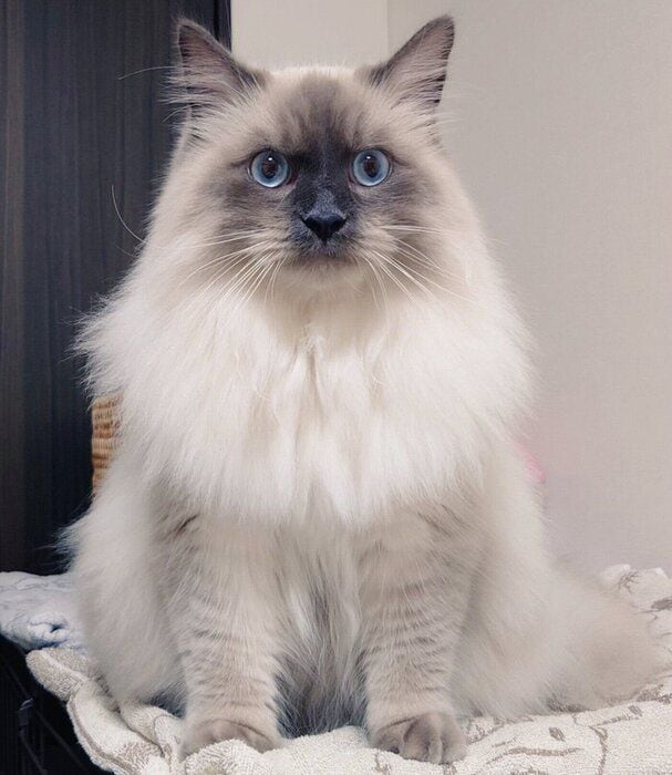 見つめるソラくん