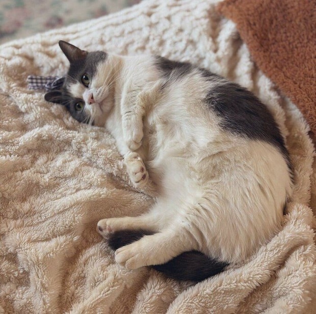 現在のくう太くんの姿。