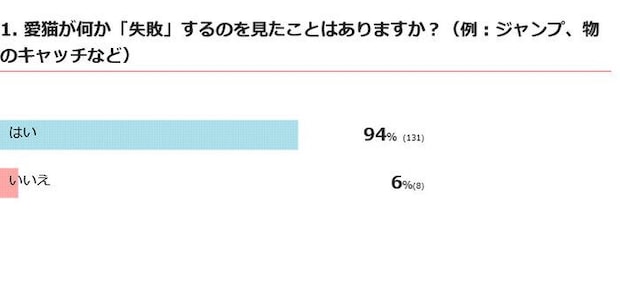 愛猫が失敗するのを見たことはある？