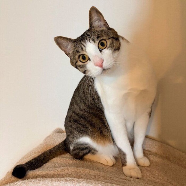 2才になった杏忍くん