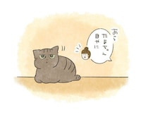 爆睡中が勝負！一瞬で終わる「必殺・瞬間目やに取り」【連載】交通事故にあった猫を拾いました#249