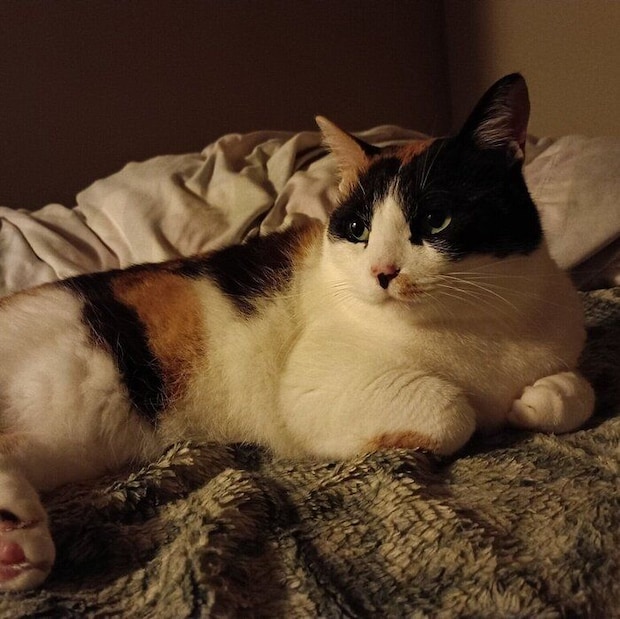 布団に腰をおろすひまわりちゃん