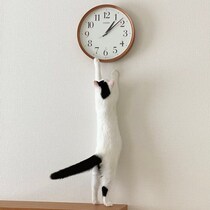 「生後4カ月」と「4才」の写真を比較　4年で大きく成長しても「やることが変わらない」猫のビフォーアフターにほっこり！