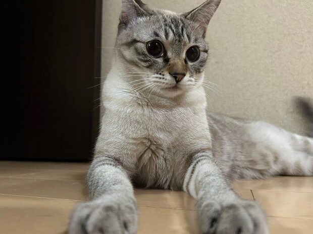 現在のゆりちゃん