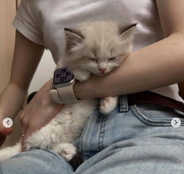 イヴちゃんと初対面したときの一枚