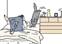 猫の甘え方は、ときに赤ちゃんを思わす【男の猫道】vol.146