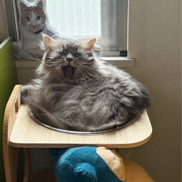 思わず、「ふあ～」とあくびがでちゃったレムくん