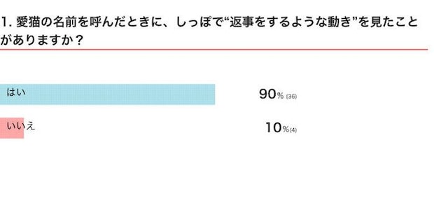 愛猫の名前を呼んだときに、しっぽで“返事をするような動き”を見たことがある？